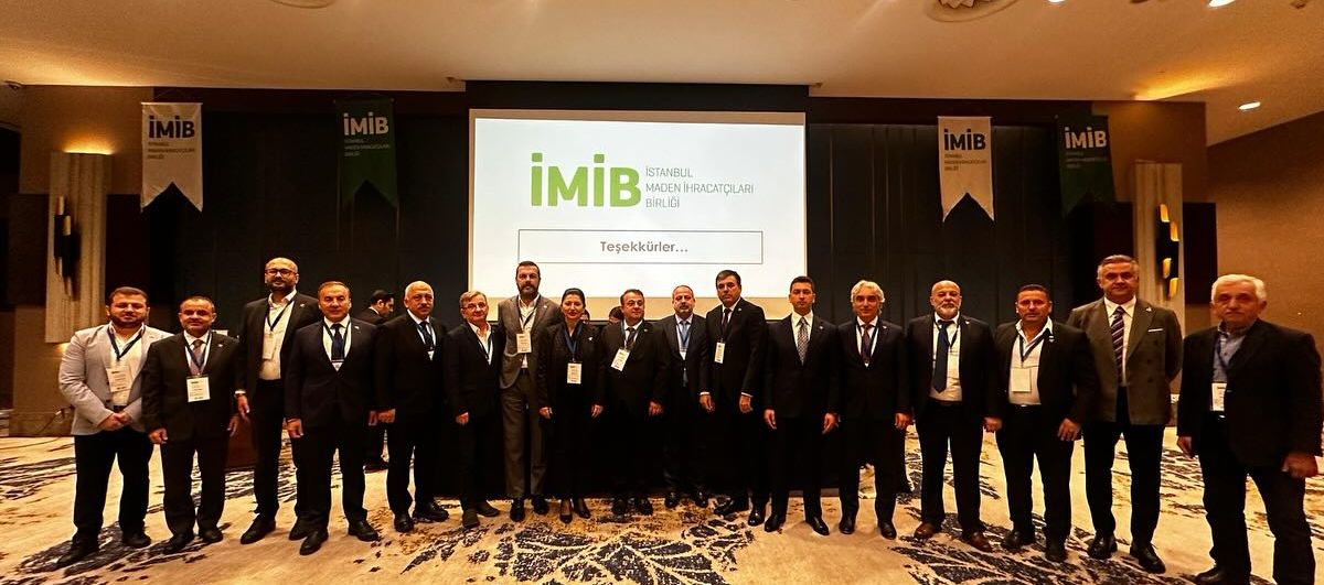 imib-cover